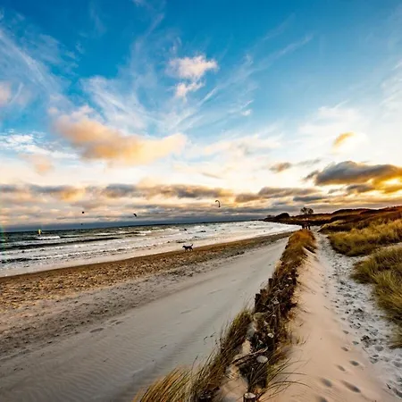 Marinaluna Appartamento Damp