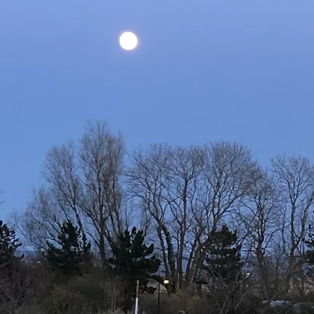 Marinaluna Appartamento *